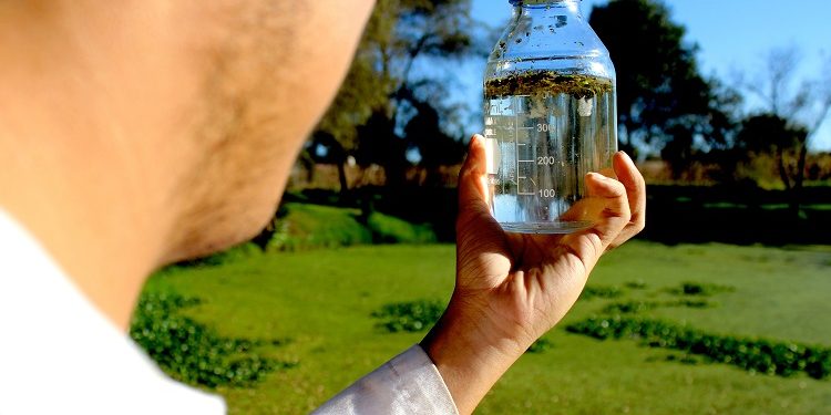 Tecnología desarrollada por egresados BUAP se implementará en un festival masivo en el país