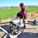 Con drones agrícolas, SADR tecnifica el campo atlixquense