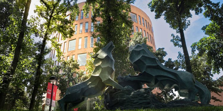 IBERO lanza reto estudiantil para convertir ideas en soluciones de sustentabilidad para la CDMX