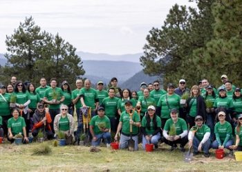 Serfimex Capital fortalece su estrategia ESR y arranca su jornada de reforestación 2026