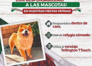 Gobierno de la Ciudad refuerza medidas preventivas durante las Fiestas Patrias; exhorta a evitar el uso de pirotecnia