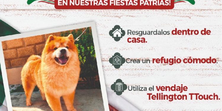 Gobierno de la Ciudad refuerza medidas preventivas durante las Fiestas Patrias; exhorta a evitar el uso de pirotecnia
