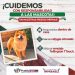 Gobierno de la Ciudad refuerza medidas preventivas durante las Fiestas Patrias; exhorta a evitar el uso de pirotecnia