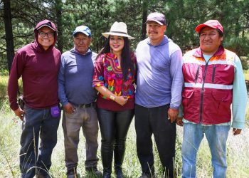 San Pedro Cholula realiza jornada de reforestación en el Cerro Zapotecas