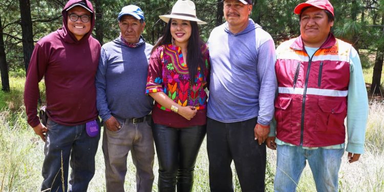 San Pedro Cholula realiza jornada de reforestación en el Cerro Zapotecas