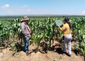 Biofertilizante de Altosano Granjas Carroll impulsa cultivos en Veracruz y Puebla