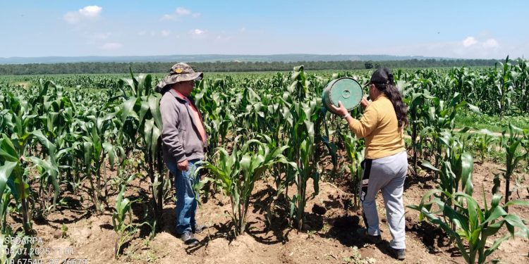 Biofertilizante de Altosano Granjas Carroll impulsa cultivos en Veracruz y Puebla