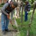 Con jornada de limpieza en parques de la colonia San Manuel, Agua de Puebla se sumó al “Día Mundial de la Limpieza”