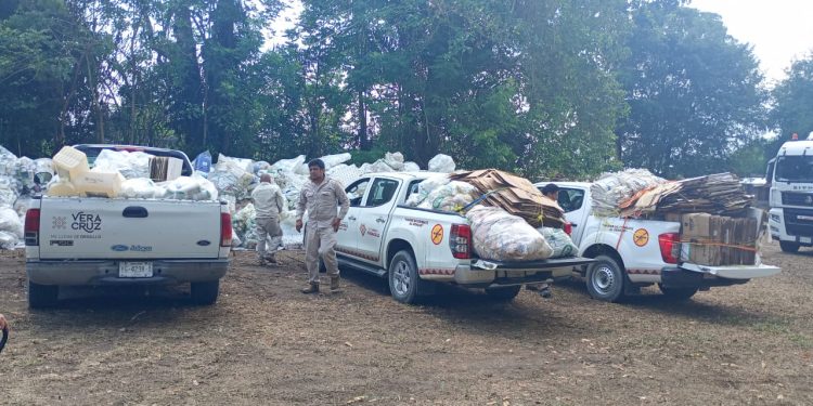 Jornada de Recolección de Envases Vacíos de Plaguicidas en Veracruz