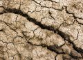 El mundo superará los 1.5 °C de calentamiento global, pero “el futuro es un territorio en disputa”: especialista IBERO