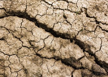 El mundo superará los 1.5 °C de calentamiento global, pero “el futuro es un territorio en disputa”: especialista IBERO