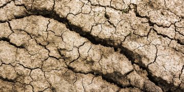 El mundo superará los 1.5 °C de calentamiento global, pero “el futuro es un territorio en disputa”: especialista IBERO