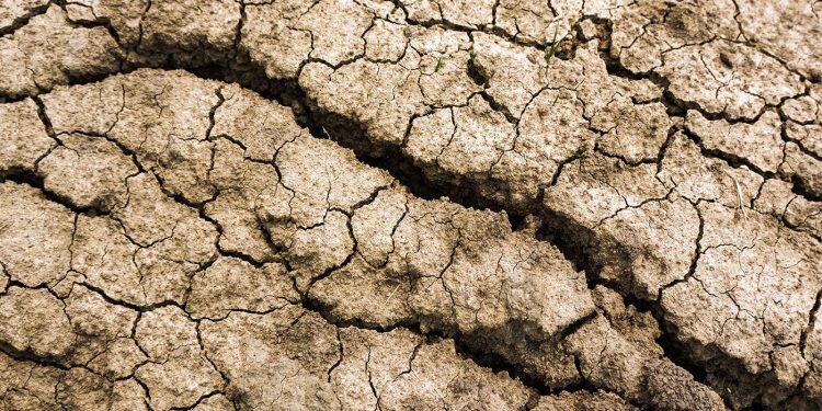 El mundo superará los 1.5 °C de calentamiento global, pero “el futuro es un territorio en disputa”: especialista IBERO