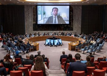 Experto de la ONU propone ante el Consejo de Seguridad que la IA se desarrolle bajo licencia