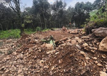 Profepa frena remoción de vegetación y extracción ilegal de piedra en área natural protegida de Amanalco, Estado de México