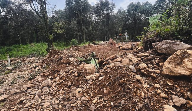 Profepa frena remoción de vegetación y extracción ilegal de piedra en área natural protegida de Amanalco, Estado de México