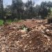 Profepa frena remoción de vegetación y extracción ilegal de piedra en área natural protegida de Amanalco, Estado de México