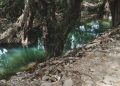 Profepa clausura obras realizadas en el río Jalpan, en Querétaro