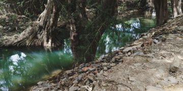 Profepa clausura obras realizadas en el río Jalpan, en Querétaro