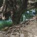 Profepa clausura obras realizadas en el río Jalpan, en Querétaro