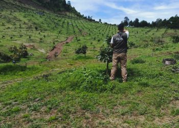 Profepa y Conanp realizan tercer multioperativo nacional en 43 Áreas Naturales Protegidas en 26 entidades
