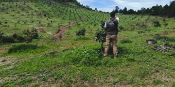 Profepa y Conanp realizan tercer multioperativo nacional en 43 Áreas Naturales Protegidas en 26 entidades