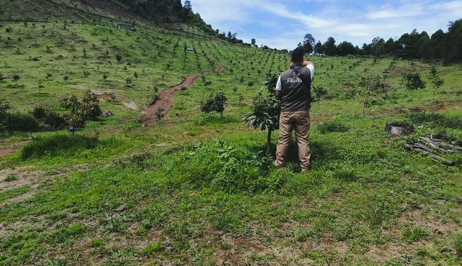 Profepa y Conanp realizan tercer multioperativo nacional en 43 Áreas Naturales Protegidas en 26 entidades