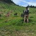 Profepa y Conanp realizan tercer multioperativo nacional en 43 Áreas Naturales Protegidas en 26 entidades