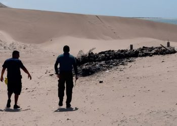 Profepa realiza operativo simultáneo de inspección a ecosistemas costeros en 15 entidades