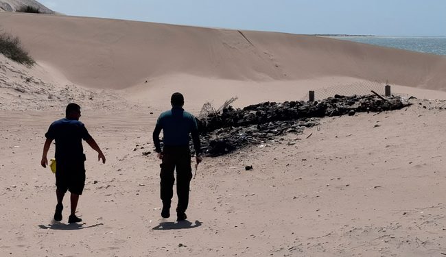 Profepa realiza operativo simultáneo de inspección a ecosistemas costeros en 15 entidades