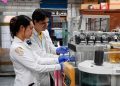 La ciencia debe llegar a toda la sociedad, resalta Elaine Reynoso Haynes