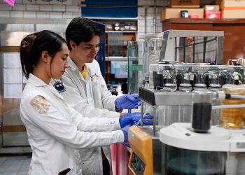 La ciencia debe llegar a toda la sociedad, resalta Elaine Reynoso Haynes
