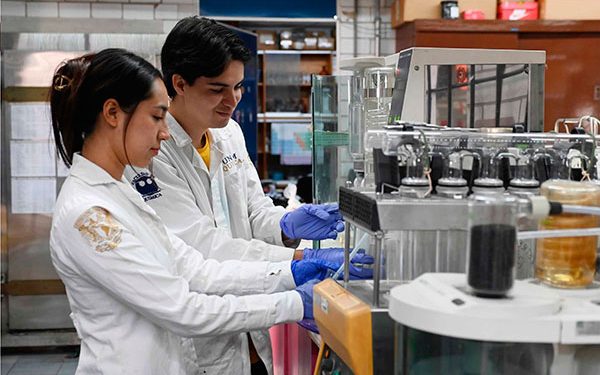 La ciencia debe llegar a toda la sociedad, resalta Elaine Reynoso Haynes