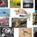 A cargo de la UNAM, uno de los principales espacios de conservación ecológica de la Ciudad de México