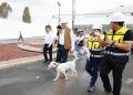Gobierno Estatal Alcanza 88 Por Ciento De Avance En Célula De Bienestar Animal