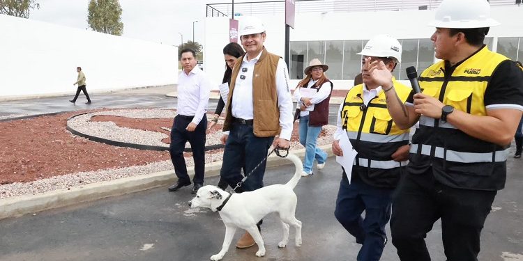Gobierno Estatal Alcanza 88 Por Ciento De Avance En Célula De Bienestar Animal