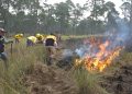 ¡Respuesta inmediata y liquidación oportuna de Incendio Forestal en Tlachichuca!