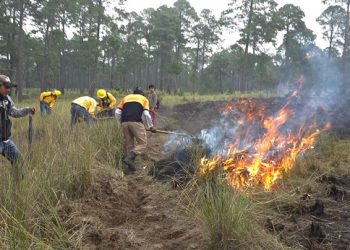 ¡Respuesta inmediata y liquidación oportuna de Incendio Forestal en Tlachichuca!