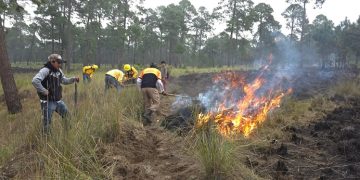 Respuesta inmediata y liquidación oportuna de Incendio Forestal en Tlachichuca
