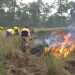 ¡Respuesta inmediata y liquidación oportuna de Incendio Forestal en Tlachichuca!
