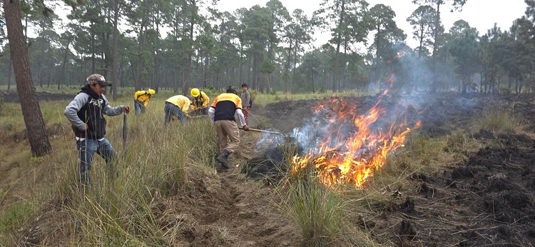 ¡Respuesta inmediata y liquidación oportuna de Incendio Forestal en Tlachichuca!
