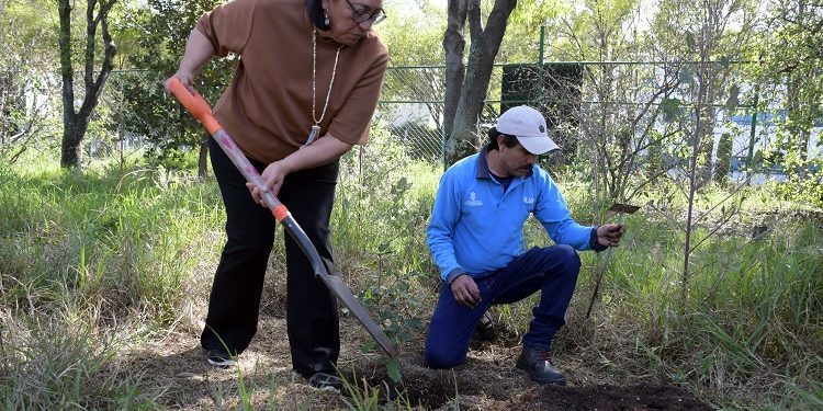 Realiza Jardín Botánico Universitario el Primer Festival de los Encinos