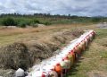 Gana investigador concurso sobre transformación sostenible por el planeta
