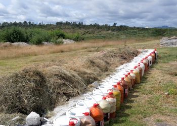 Gana investigador concurso sobre transformación sostenible por el planeta