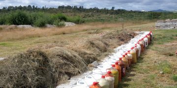 Gana investigador concurso sobre transformación sostenible por el planeta