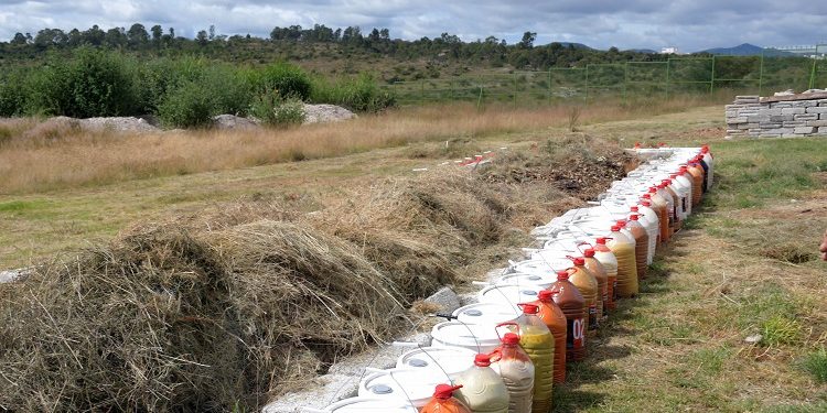 Gana investigador concurso sobre transformación sostenible por el planeta