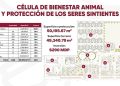 Centro De Atención Para Seres Sintientes Más Grande Del Mundo En Puebla