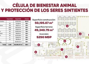 Centro De Atención Para Seres Sintientes Más Grande Del Mundo En Puebla
