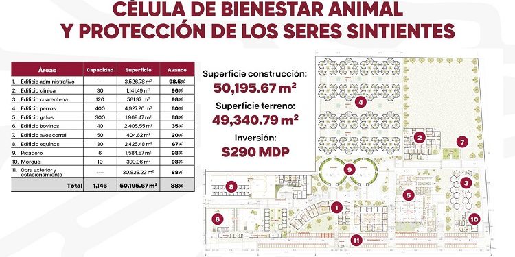 Centro De Atención Para Seres Sintientes Más Grande Del Mundo En Puebla