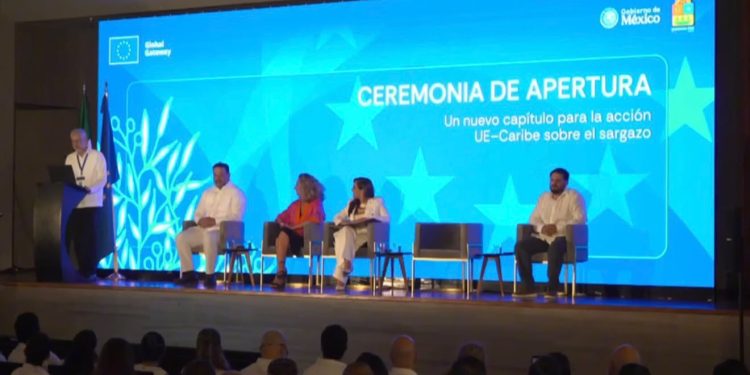 México, el Caribe y la Unión Europea buscan convertir el sargazo en una oportunidad de desarrollo